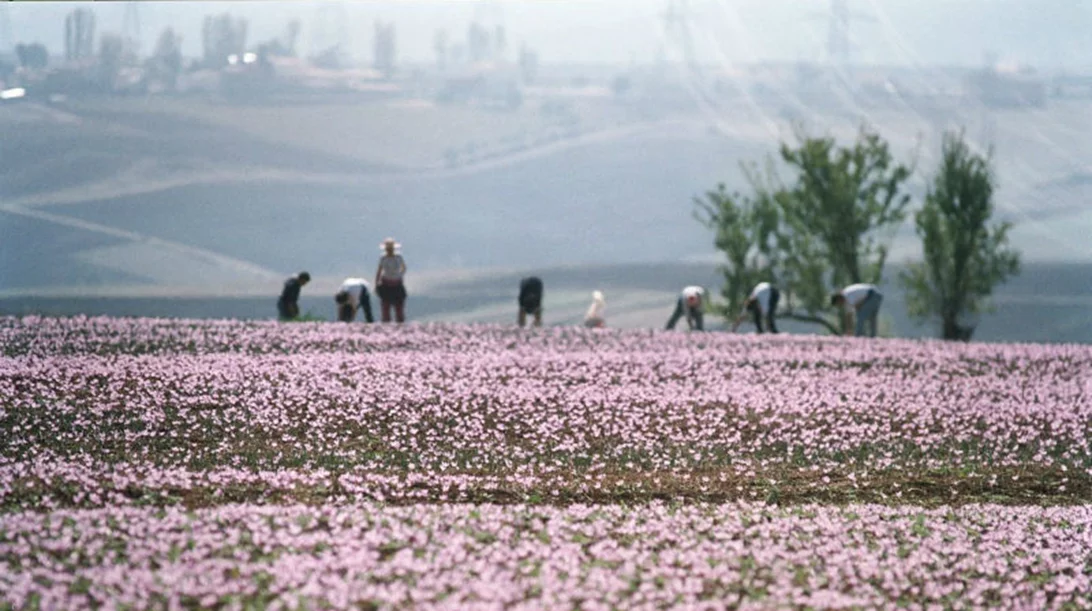 10 must προορισμοί της Μακεδονίας 